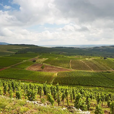 Alida Tokaj Tisza Part